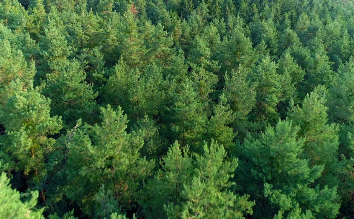 River Tech school photo