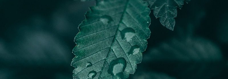 River Tech - Nonprofit