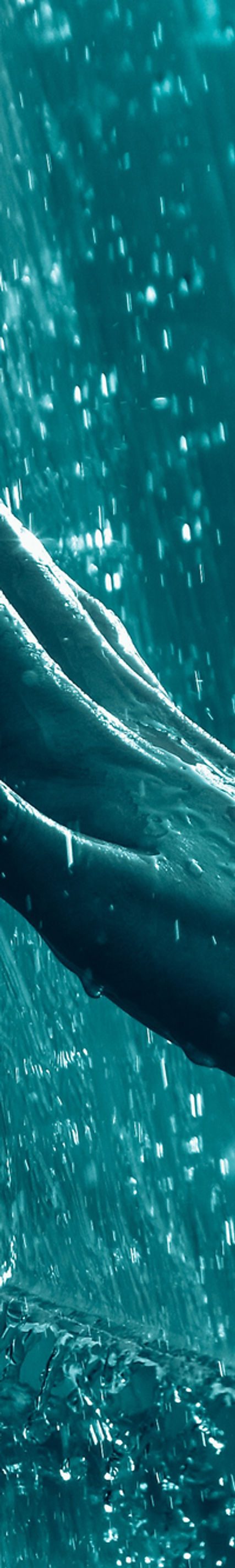 River Tech - Scholarships