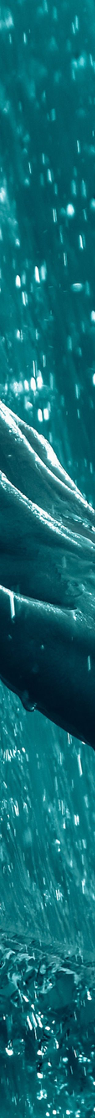 River Tech - Volunteer