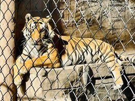 River Tech students learning